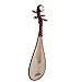 LANDTOM Professional Hardwood Chinese Lute Traditional National Stringed Instrument PiPa (B-engraved bamboo)