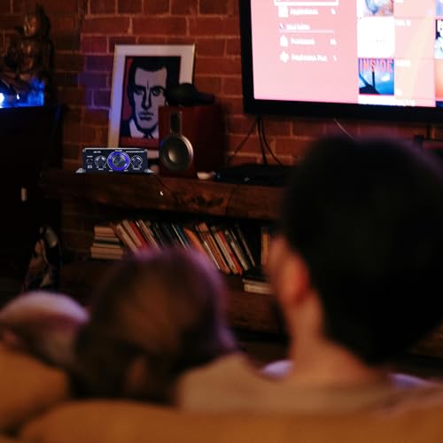 Ragyzity Power Amplifier Home Audio System, AK170 Amplifier DC 12V, Home Audio Stereo Hi-Fi Power Amplifier, Dual Channel Sound Stereo Receiver Box with LED for Speaker PC TV Cell Phone Car Vehicle - Image 5