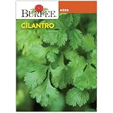 Burpee 'Coriander' Cilantro, 1.9g Non-GMO Herb Seeds for Planting