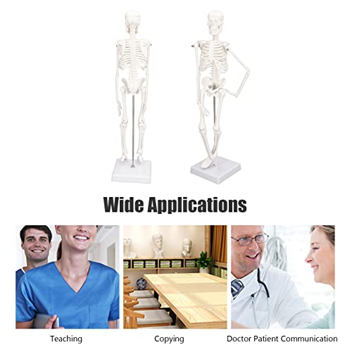 Image of PVC Mini Skeleton Model with Movable Arms Legs and Stand