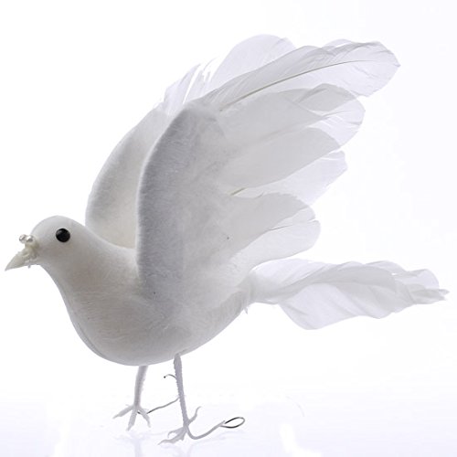 Amazon.com: Factory Direct Craft Open Winged Artificial White Dove