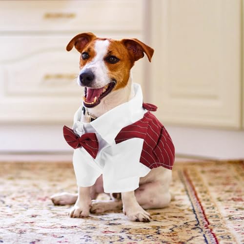 ARTSEWPLY pEFfBOߑ ybgpX[c Vc q qLp p[eB[̑ɓKKȃhXVc