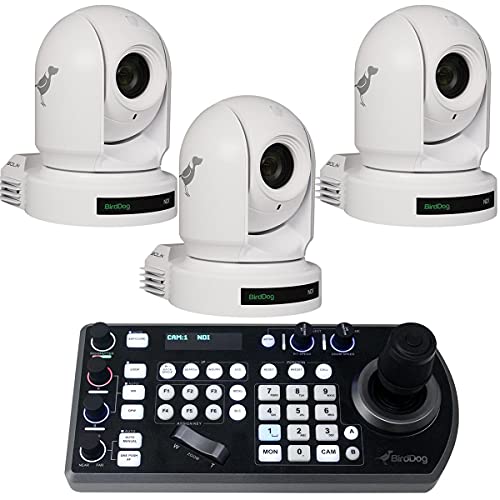BirdDog Eyes P200 1080p Full NDI PTZ Camera with CMOS Backlit Sensor and Image Module (White) BDP200W