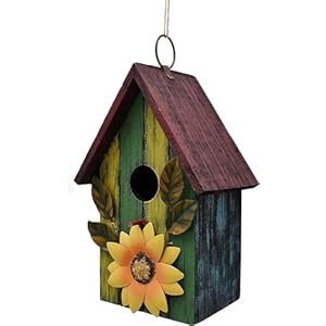 Morning View Wooden Bird Houses for Outside Decorative Hanging Birdhouse Spring for Yard Garden Patio Outdoor Small Birds Bluebird Finch Cardinals Wren 9.37 Inch Tall (Green) Morning View Wooden Bird Houses for Outside Decorative Hanging Birdhouse Spring for Yard Garden Patio Outdoor Small Birds Bluebird Finch Cardinals Wren 937 Inch Tall Green