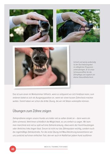 Medical Training für Hunde: Entspannt bei Tierarzt, Pflege & Co. (DER HUND Wissen)