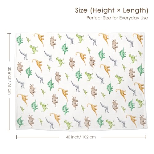 Image of Dinosaur Baby Blankets for Boys, Newborn, Soft Nursery Minky Blankets with Muslin and Dotted Fleece Back 30x40 inches, Receiving Bed Quilt for Infants, Toddlers
