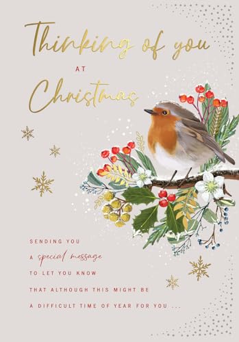 Avant Garde Studios Christmas Card Thinking Of You Robin - 9 X 6 inches