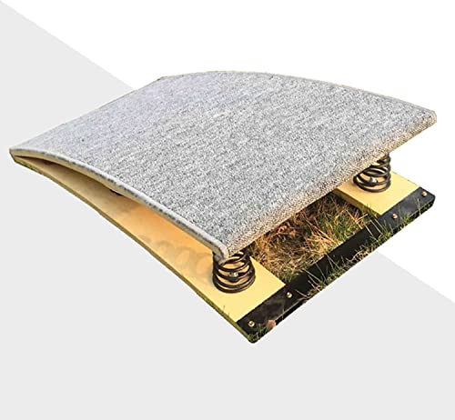 Katzowen Kids Gymnastics Equipment Springboard, Home Junior Spring Board, Beginning Gymnasts Vault Springboards, for Beginner Little Children Teen