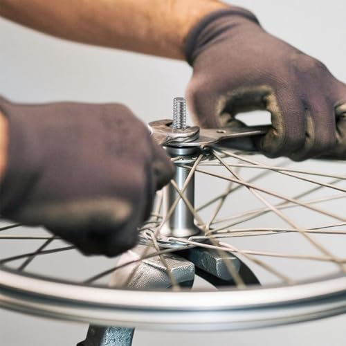 25 Stück M6x40 Schlossschrauben Set mit Flanschmuttern, Torbandschrauben Flachrundkopfschrauben mit Vierkantansatz, DIN 603 Kohlenstoffstahl Vollgewinde für Bauwesen Industriemaschinen Heimdekoration