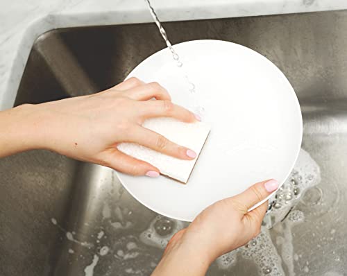 Full Circle Esponja antiarranhões em casca de nogueira, embalagem com 3