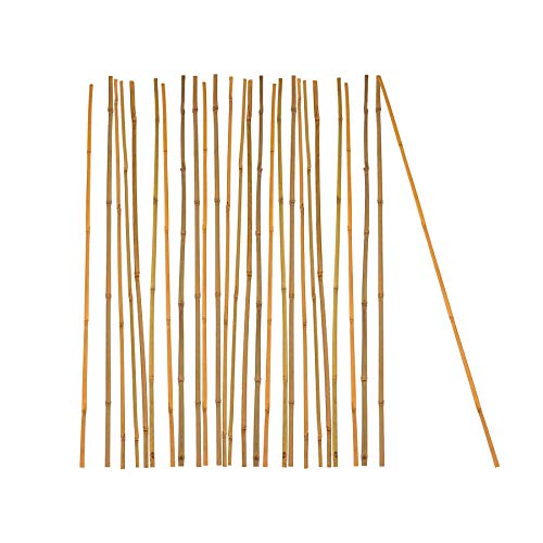 BigDean 25x Pflanzstab Bambusstab 105 cm x 8-10 mm Bambus Rankhilfe Pflanzstab Tonkinstab 100% Naturprodukt Pflanzstäbe Bambusstäbe Bambusstangen