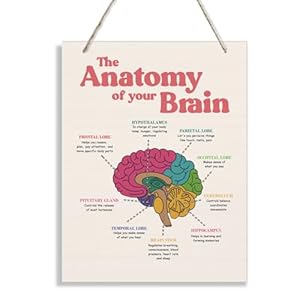 JXZOLQ Brain Anatomy Wood Sign, 10*...
