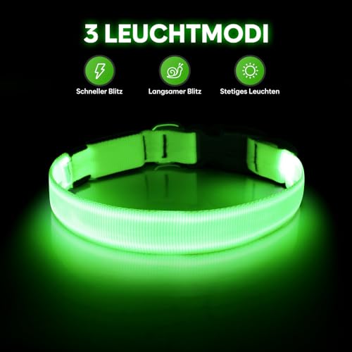 Illumifun Leuchthalsband Hund, USB LED Hundehalsband, Wiederaufladbar Hundehalsband Leuchtend für Hunde Einstellbare Größe, 3 Beleuchtungsmodi für Mittlere Hunde (Grün, M)