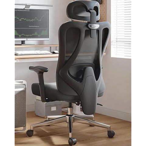 Hbada P3 Ergonomic Office Chair with 2D Adjustable Lumbar Support, Office Chair with Adjustable Headrest and Armrest, 145° Stepless Tilt Function, Black(No Footrest) Cover