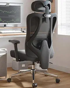 Hbada Mesh Ergonomic Office Chair With 2D Adjustable Lumbar Support, Office Chair With Adjustable Headrest And Armrest, Computer Chair With Tilt Function, Desk Chair With Thick Seat Cushion Black