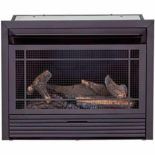 Duluth Forge Dual Fuel Ventless Gas Fireplace Insert - 26,000 Btu, T-Stat Control - Model# Fdf300T-R (Renewed) #TOP2