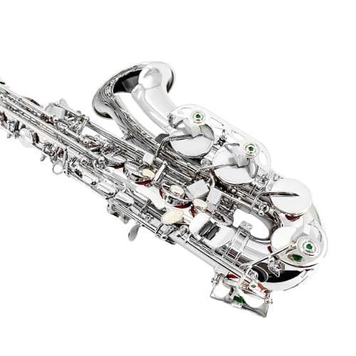 Image of Alto Sax Saxophone Beginner Kit Alto Saxophone E Flat with Mouthpiece Carrying Case Straps 10Reeds for Students and Adults
