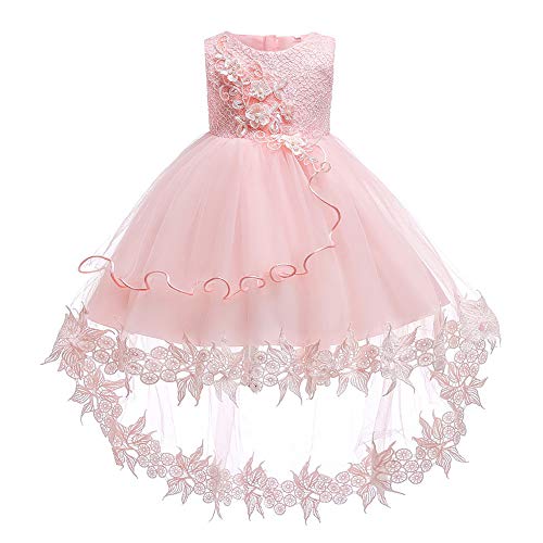 Baby Toddler Lace Dress Girls First Baptism Elegant Embroidery Wedding Party Flower Bridesmaid Dresses Up2