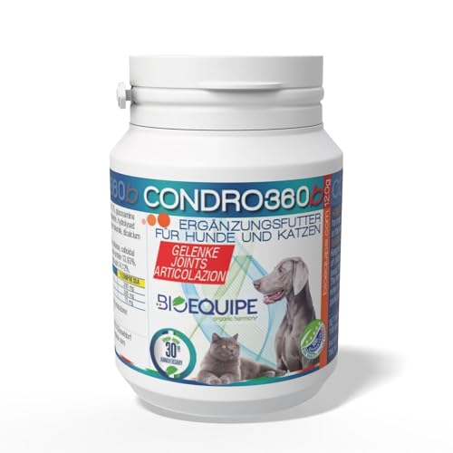 Condrob360 Best Glucosamina Condroitina Integratori articolazioni cani Condroprotettore con condroitina glucosamina alto dosaggio 6 mesi- Supporto Articolazioni, Cartilagini e Ossa - antifiammazioni