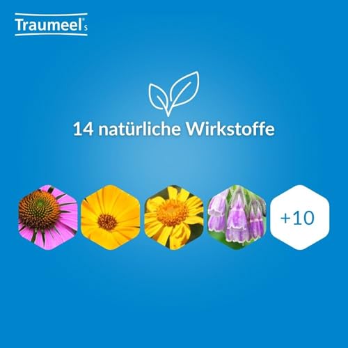 Traumeel S Creme 100g - Wieder fit für Sport und Alltag mit der Kraft aus der Natur | Natürliches Arzneimittel zur Unterstützung der körpereigenen Regeneration. Für ein Leben in Bewegung!