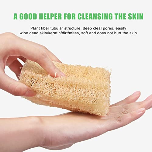 Natural Loofah Dish Sponge (4 Pcs) Scrubber For Kitchen Body Scrubber -100% Biodegradable Compostable Dishwashing Scouring Pad Zero Waste Plastic Free Eco Friendly Sustainable Silicone Unbleached #TOP4