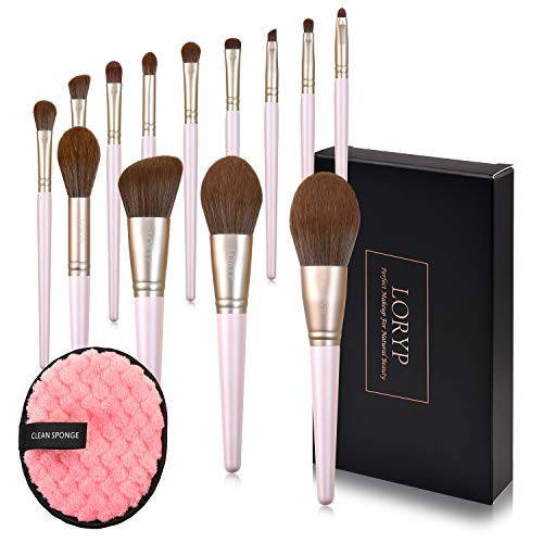 LORYP Makeup Brush Sets -13pcs Cosmetic Brushes Set For Lady -Free Reusable Makeup Remover Pads For More Convenient And Quick Makeup Removal-Best Gift for Sisters,Girlfriend,Wife and Daughter (Pink)