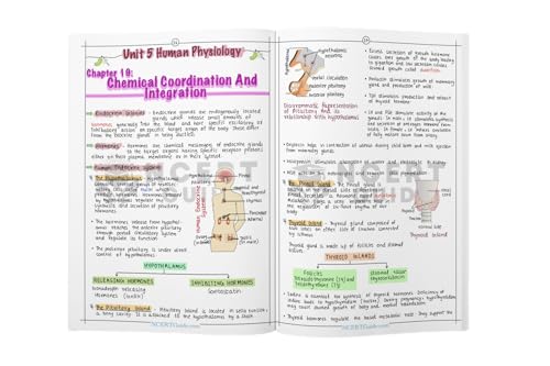 Image of NEET PCB Handwritten Notes Combo Pack | Physics & Chemistry Formula Guides + Biology Short Notes | Handwritten Colorful Study Combo | Rapid Revision Material for NEET & CBSE Class 11-12