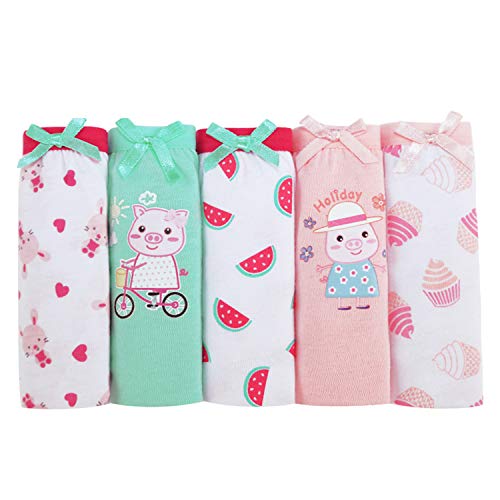 EINFEBEN Mädchen Unterhose 100% Bio-Baumwolle Komfort 5 Pack Slips 2-12 Jahre Größe 100-140 Cover