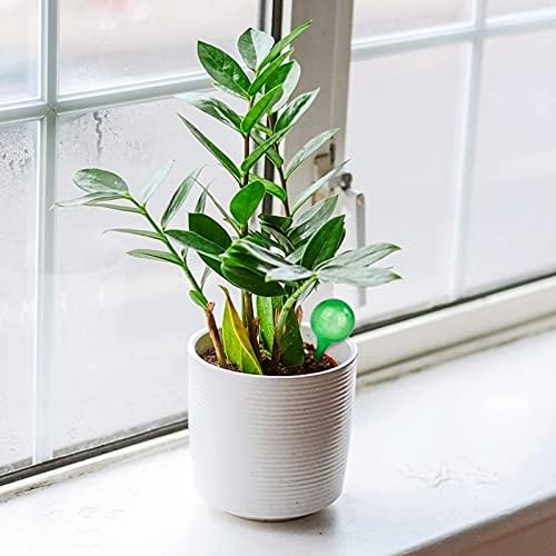 8 Pack Self Watering Globes, 5cm Plant Watering Globes, Automatic Watering Bulbs, Plant Watering Devices, Self Watering System for Plants, Indoor Garden Water Feeder for Plants (4 Green & 4 White)
