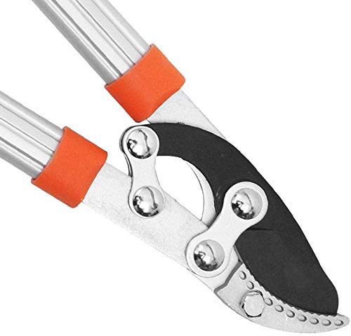 Cesoie da giardino estensibili portatili Troncarami a cricchetto Troncarami da giardino Taglierina da giardino Utensili per cesoie per rami Durevole Ergonomico antiscivolo Manico arancione