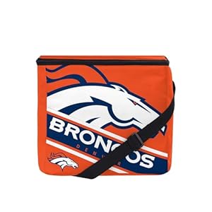 FOCO Unisex NFL Big Logo Stripe 12 ...