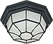 1 Light Cfl - 12" - Ceiling Spider Cage Fixture - (1) 18W Quad -...