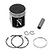 Namura Technologies NX-10200-4 Piston Kit - 1.00mm Oversized to 66.47mm