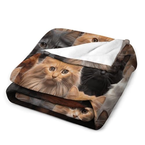 Couverture en molleton confortable pour éliminer les frissons du soir - 4