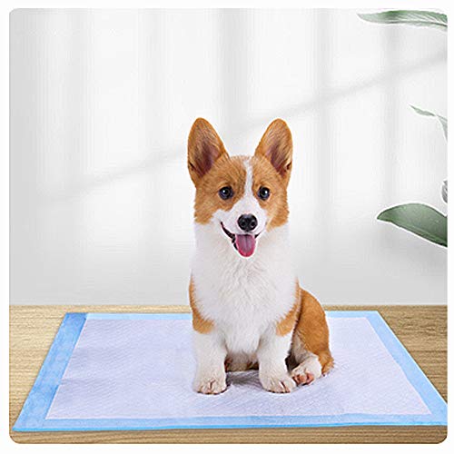 KIHKIH Dog Training Pad Puppy Training Pad Training Pad for Pet Puppy Pads Pet Training Pads Regular 20 Counts-Extra Thickened (Regular (1318), 20 Count)