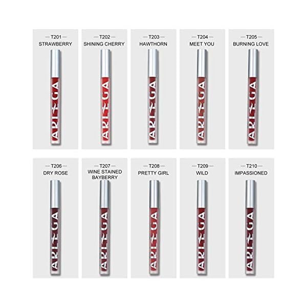 Arlega 10pcs Matte Liquid Lipstick Set, 0.07 oz Full Size Velvety Smooth Full Pigmented and Long Lasting Waterproof Lipgloss for Daily and Party Makeup, Gift for Women (Large, 2g) (chocolate)