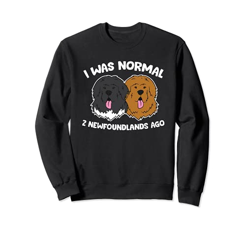 Ich war normal vor 2 Newfoundland dogs Sweatshirt, Black