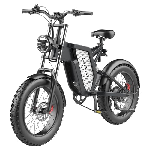 KELKART MX25 VTT électrique Tout Suspendu Fat Bike électrique 20 Pouces avec Batterie 48V25AH et Professional 7 Vitesses pour Adulte