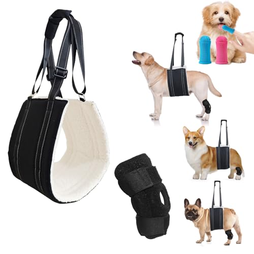 2 Pack Medium Dog Sling and Knee Brace
