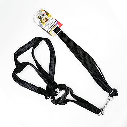 Köpek Uz.+Göğüs Tasması Siyah 20mmx120cm