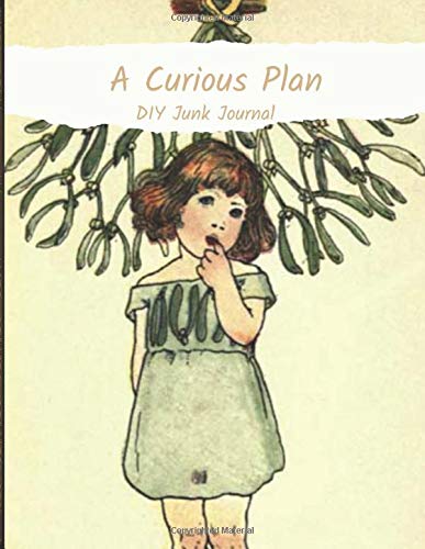 A Curious Plan: DIY Junk Journal