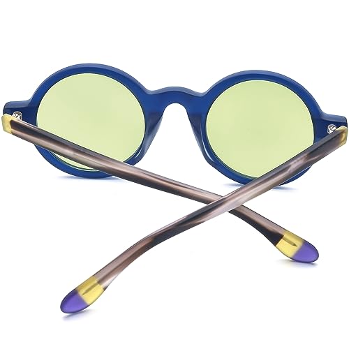 Image of HEPIDEM Matte Acetate Vintage Retro Round Polarized Sunglasses for Women 9270T