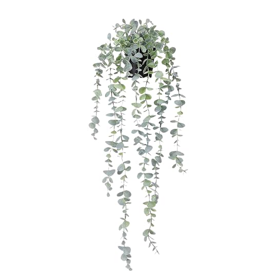 Faux eucalyptus mandala vigne pour raviver un mur sombre sans arrosage lot de 2