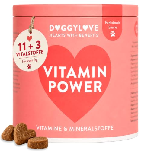 DoggyLove Vitamin Power 11 + 3 Multivitamin für Hunde, 140 Hundeleckerli | Vegane Hundesnacks, Vitamin A, E & B-Komplex, Biotin, Zink, 11 Vitamine für Hunde und Mineralstoffe zur Rundumversorgung