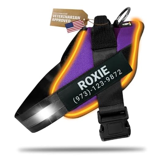 DOGGYKINGDOM Personalized No Pull 360° LED Dog Harness with Custom Name Patches, USB Rechargeable, Adjustable, Reflective for Night Walks, Rainproof Module with 3 Modes Lasts up to 24h, Purple, XL