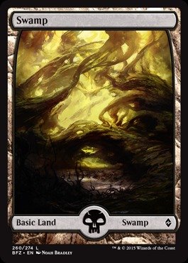 Magic: the Gathering - Swamp (260/274) - Battle for Zendikar