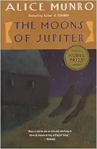 The Moons of Jupiter book cover