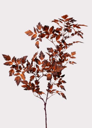 Afloral Faux Cimicifuga Leaf Spray in Brown - 31