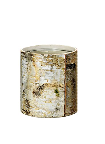 Serene Spaces Living Large White Birch Bark Vase...