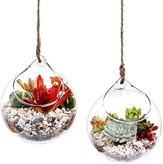 Ivolador Set of 2PCS 4.7 Inches Hanging Plants Glass Terrarium Container Air Plant Holder Succulents Globe Shape Home Garden Décor